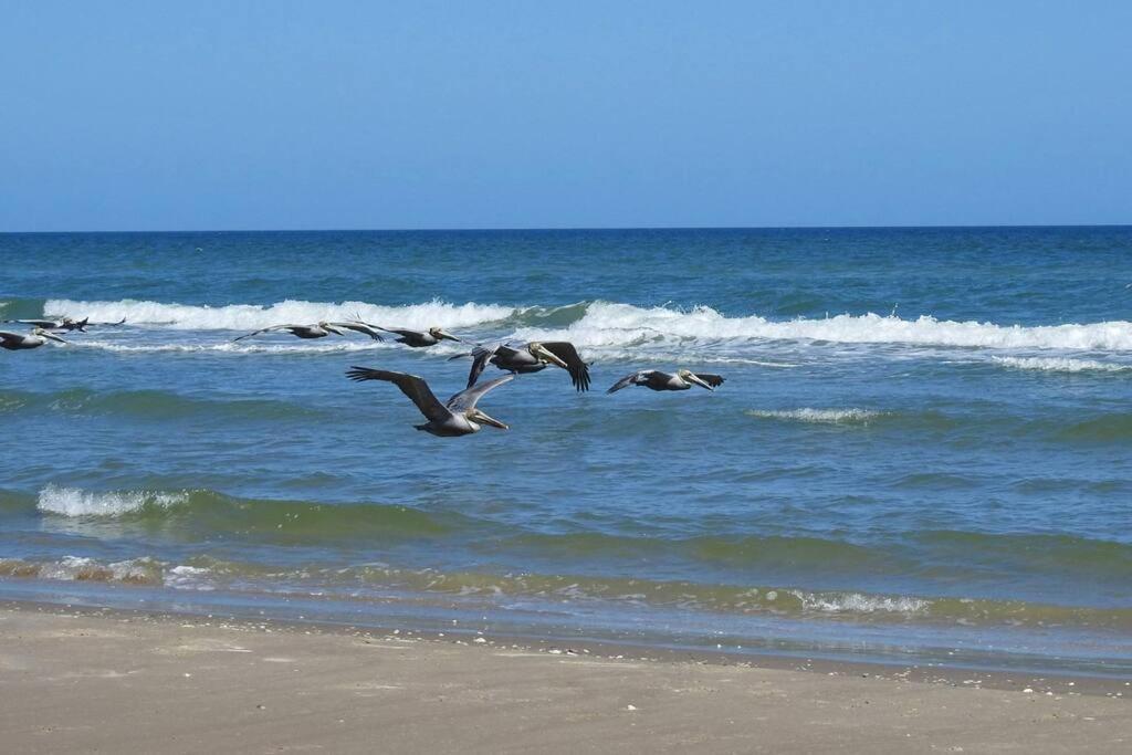 Barefoot Bungalow - Pet Friendly- 2 Bdrm Townhome Corpus Christi  Kültér fotó